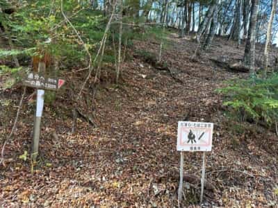 一ノ森・槍戸山