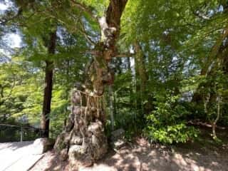 四国八十八ヶ所 81番札所 白峯寺