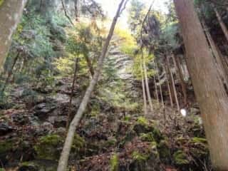 剣山スーパー林道