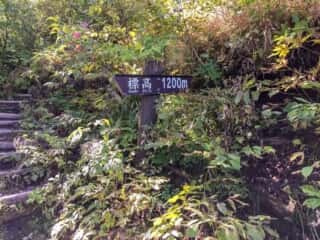 大山登山道