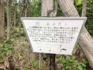 知床五湖 地上遊歩道