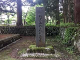 出羽三山 羽黒山のスギ並木