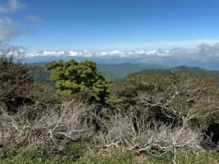 矢筈山・石堂山