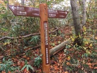 白神岳登山道