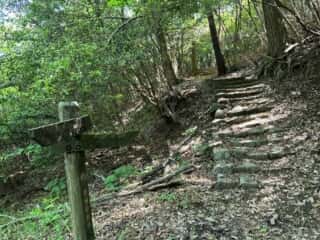四国八十八ヶ所 80番札所 国分寺〜81番札所 白峯寺