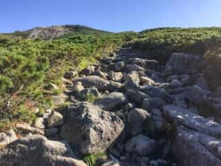 観光新道登山道　