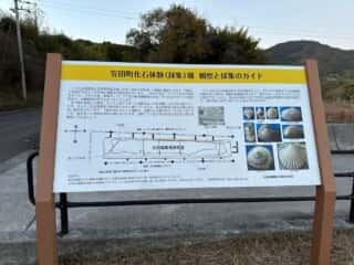四国八十八ヶ所霊場 第27番札所 神峯寺〜第28番札所 大日寺
