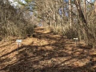 石投山 黒森山 登山道