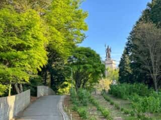 四国八十八ヶ所霊場 第66番札所 雲辺寺