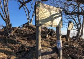 駒ケ岳 登山道
