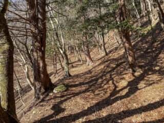 石投山 黒森山 登山道