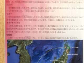 伊勢堂岱遺跡　縄文時代の交易