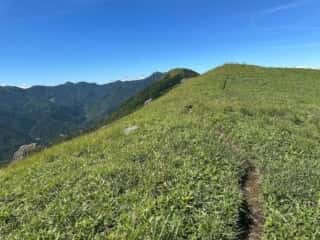 塔丸