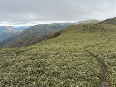 土佐矢筈山・小桧曽山