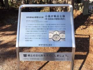 赤城神社 小鳥が島出土鏡