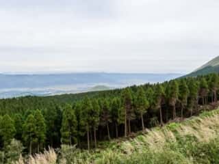 阿蘇山の景色