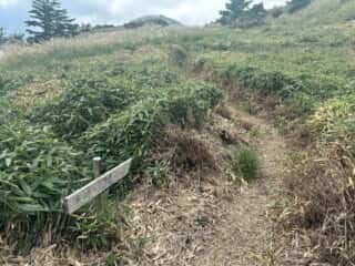 矢筈山・石堂山
