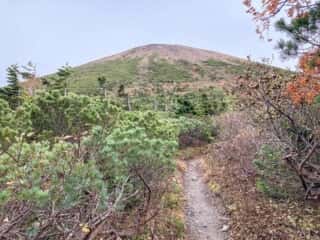 岩手山登山道