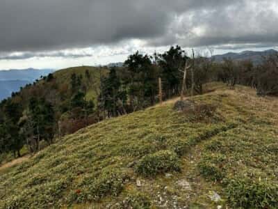 土佐矢筈山・小桧曽山