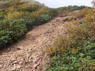 権現岳