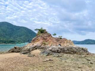 奄美大島 久場立神 千年松跡地