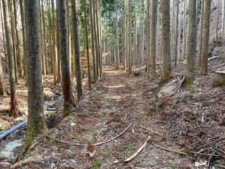 石投山 黒森山 登山道