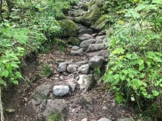 羅臼岳登山道