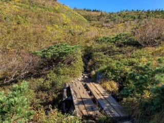 八甲田山 登山道