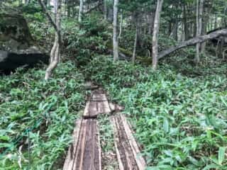 知床五湖 地上遊歩道