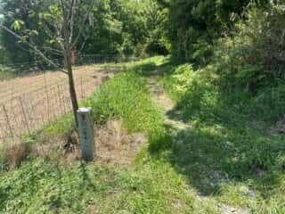 四国八十八ヶ所霊場 第82番札所 根香寺〜第83番札所 一宮寺