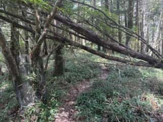 白髪山・平和丸