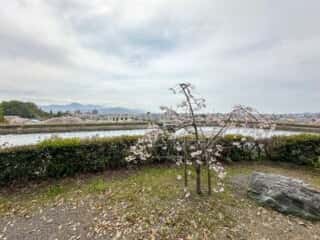 四国八十八ヶ所霊場 第50番札所 繁多寺