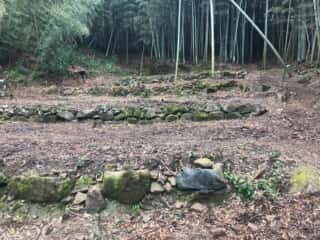 竹ヶ島 七段の聖地