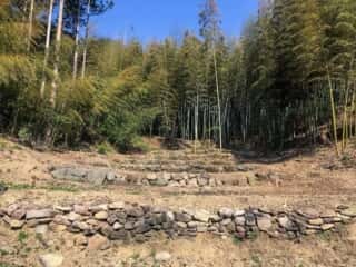 竹ヶ島 七段の聖地