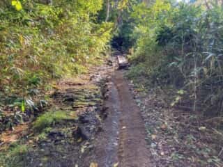 八甲田山 登山道