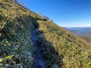 剣山・次郎笈 登山道