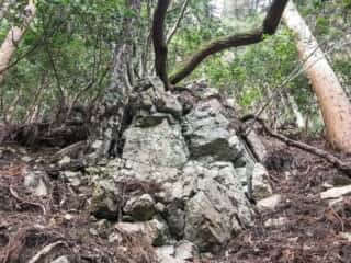 若杉山遺跡の巨石群