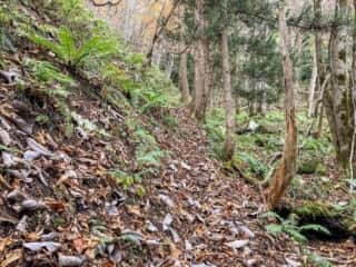 石上登山道