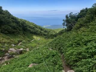 羅臼岳登山道