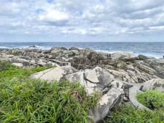 徳之島 ムシロ瀬