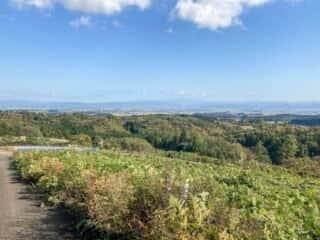 七高山登山道