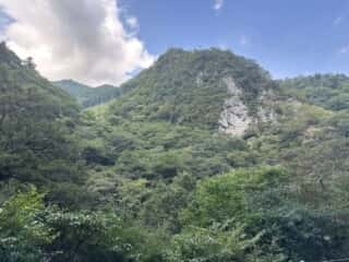 ほぼ垂直に立ち上がる徳島山岳地帯の山肌