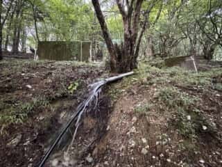 剣山の麓から流れる貞光川の源流