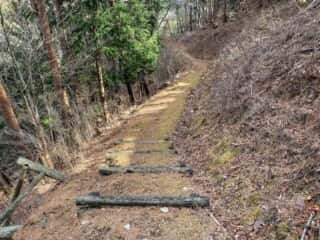 石投山 黒森山 登山道