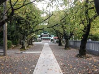 酒見神社 参道 (中嶋宮比定地)