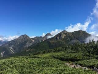 権現岳登山道