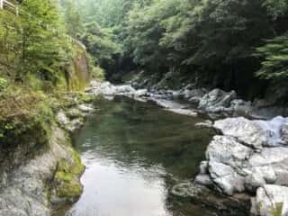 もみじ川