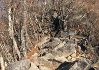 黒檜山 登山道