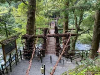 祖谷のかずら橋 全景