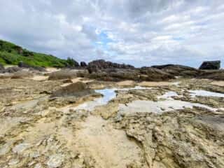 奄美大島 節田立神岩